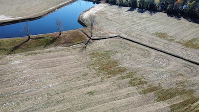 46.89 Ac Tbd Beth Ln, Nichols, SC 29581 - photo 6