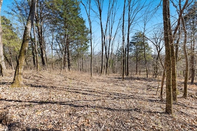 0 Chipman Rd, Bethpage, TN 37022 - photo 4