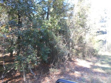 000 Columbus Hwy, Dawson, GA 39842 - photo 2