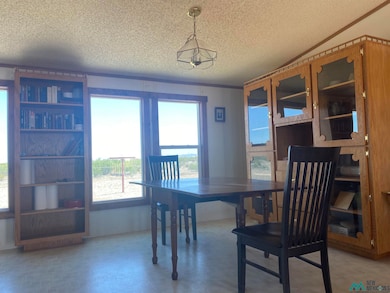 15835 Monte Vista Rd SE, Deming, NM 88030 - photo 6