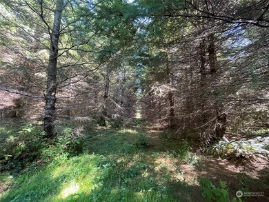 0 Wiest Rd unit NWM2155730, Longview, WA 98632 - photo 4