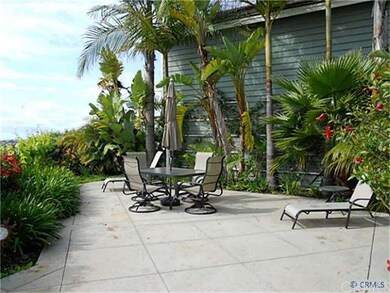 Tropical Backyard