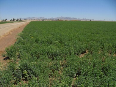 141 Water Toll Acres On 8th Ave, Blythe, CA 92225 - photo 5