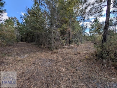 00 U S 301, Jesup, GA 31546 - photo 3