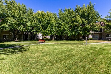 1335 SW 2nd St, Pendleton, OR 97801 - photo 3