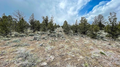 6392 SE Krag St, Prineville, OR 97754 - photo 4