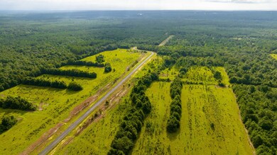 5-web-or-mls-Long Branch Farms Aerial-5