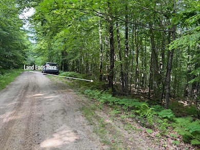 Lots 10&11 Davenport Rd, Hartford, ME 04220 - photo 4