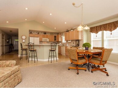 33 Gray Wolf Ln, Hendersonville, NC 28792 - photo 5