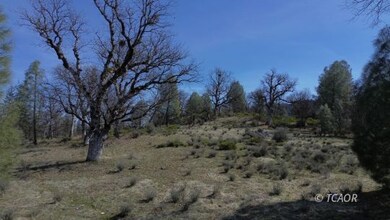 305 Pine Ave, Hayfork, CA 96041 - photo 7