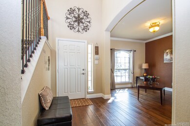 10911 Fox Glove Field, Helotes, TX 78023 - photo 3