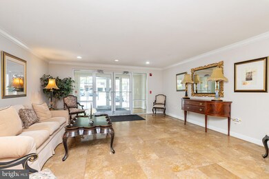 4800 Coyle Rd unit 303, Owings Mills, MD 21117 - photo 4