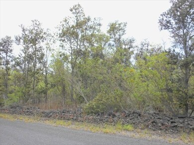 0 Paradise Pkwy unit 258146, Ocean View, HI 96737 - photo 3