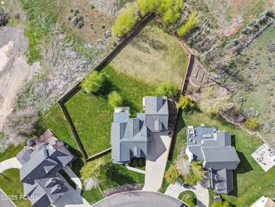 Aerial Shot