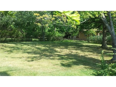Yard has mature plantings to offer privacy