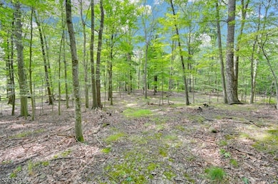 51 Paulinskill Lake Rd, Fredon Twp., NJ 07860 - photo 4