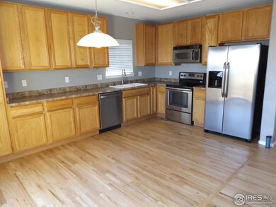 Stainless Steele Appliances