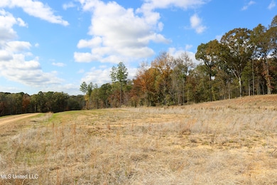 Tract 3 Hugh White State Park Road-2