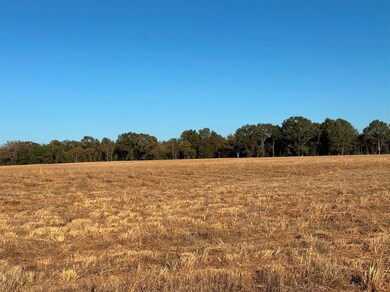 000 Fm 1653, Ben Wheeler, TX 75754 - photo 4