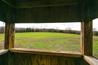 1273 Co Rd A 435, Ava, MO 65608 - photo 2