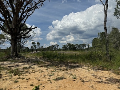 0 Busy Corner Rd, Gloster, MS 39638 - photo 3