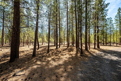 13-web-or-mls-4-28-25 51864 Applewood Wa