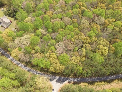 Lot 33 Knights Landing Dr, Heathsville, VA 22473 - photo 6