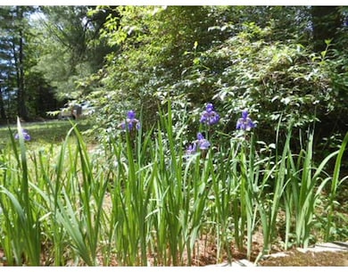 207 Clark St, Rochdale, MA 01542 - photo 7