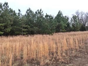 0 Lot 11 Nc 1502 unit H141177, Compton, AR 72624 - photo 4