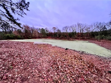 840 Miller Rd, Ola, AR 72853 - photo 3