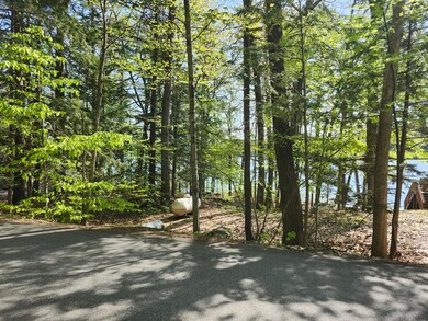 Lot #006 Trickey Pond Rd, Naples, ME 04055 - photo 3