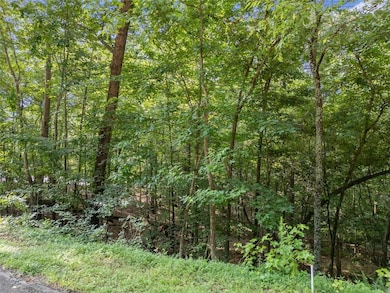 0 Kings Rd unit 7620591, Gainesville, GA 30506 - photo 6