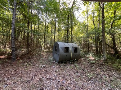 Hunting Blind