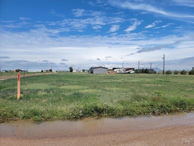 256 E 1st St, Hasty, CO 81044 - photo 3
