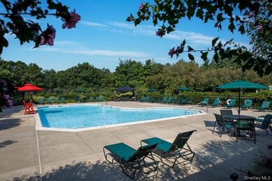 1000 Saddle Rock Rd unit 2308, Holbrook, NY 11741 - photo 2