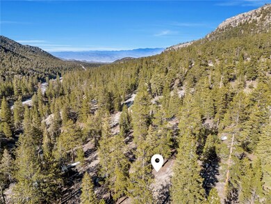 5215 Whispering Deer Dr, Mount Charleston, NV 89124 - photo 4