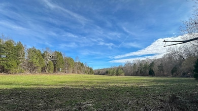 0 Jeanette Holladay Rd, Parsons, TN 38363 - photo 6