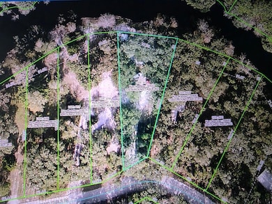 33039 Round Table Rd, Dade City, FL 33523 - photo 3