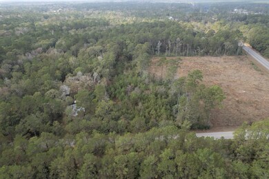 TBD Firetower Rd, Conroe, TX 77306 - photo 4