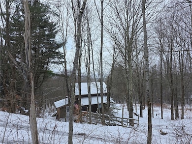 613 Sibley Gulf Rd, Cooperstown, NY 13326 - photo 6