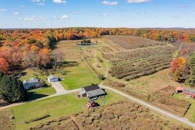 44868 Werner Rd, Titusville, PA 16354 - photo 6