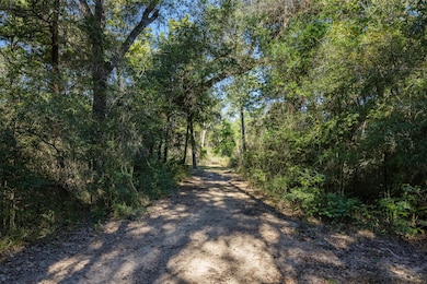 1045 Old New Ulm Rd, New Ulm, TX 78950 - photo 2