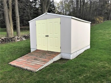 Shed in side yard