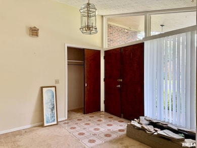 18 Chick St, Metropolis, IL 62960 - photo 2