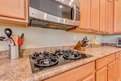 Gas Stove