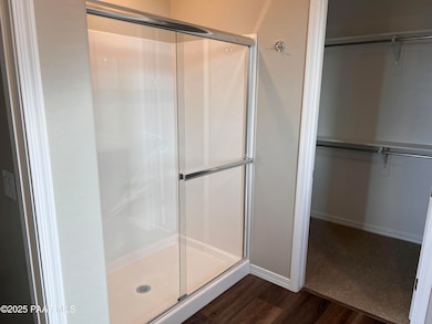 Primary shower - Copy