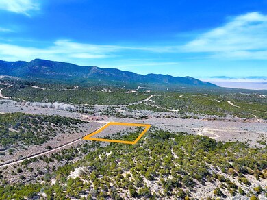 0 Slegers Rd unit 25448913, Fort Garland, CO 81133 - photo 7