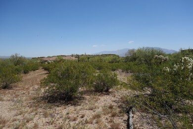 DSC03592