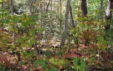 Additional View