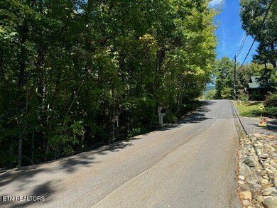 Lot 17 Deer Path Ln, Gatlinburg, TN 37738 - photo 6